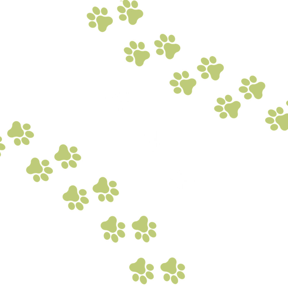 猫日和